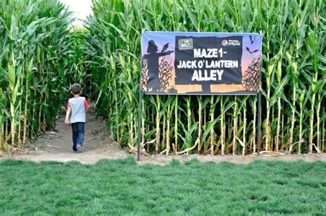 Get Lost In These 8 Awesome Corn Mazes In Utah This Fall | Utah, Corn ...