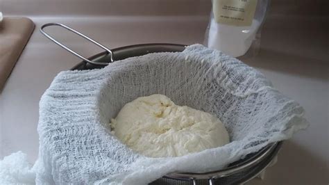 SunShine Sews...: Raw Milk Cheese