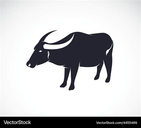 Buffalo Royalty Free Vector Image - VectorStock