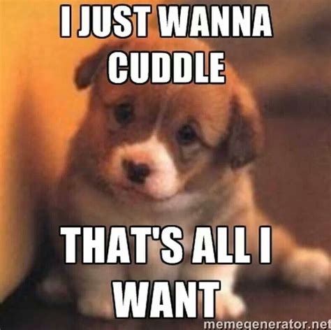 I just wanna cuddle Funny Animal Memes, Dog Memes, Funny Dogs, Funny Animals, Adorable Animals ...