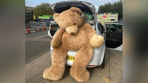 Huge teddy bear rescued from waste tip near Cambridge - BBC News