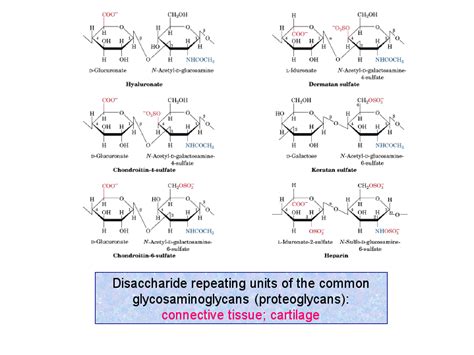 Glycosaminoglycans; Mucopolysaccharides