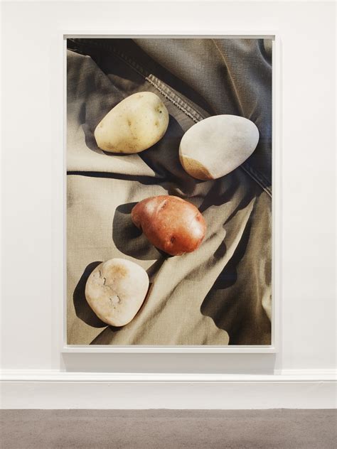 What is Wolfgang Tillmans’ Still Life series all about?