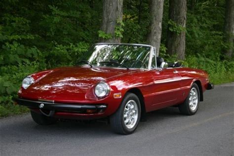 1970 Alfa Romeo Spider - Information and photos - MOMENTcar