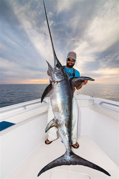 Fisherman holding a swordfish caught on rod and reel in a fishing boat #offshorereel | Sea ...