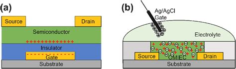 Schematic illustrations of transistor structures of a) thin-film ...