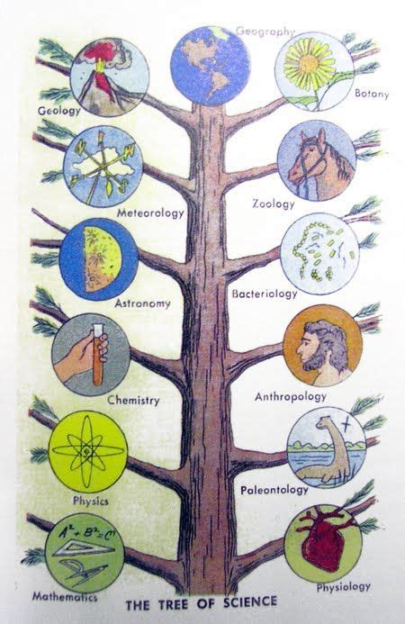 Do You Know Any Of These Branches of Study? - Virily