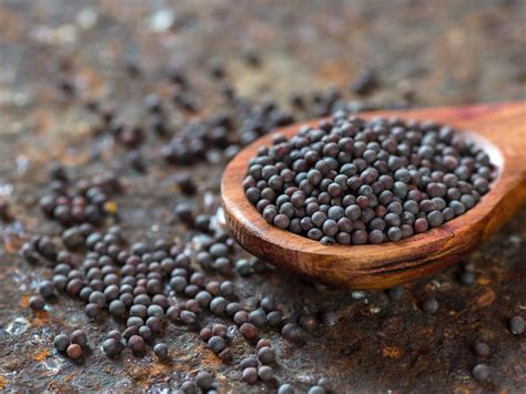 How To Eat Black Mustard Seeds - Recipes.net