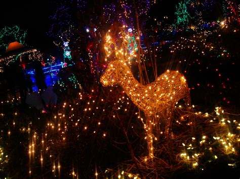 Festival of Lights by MelodicInterval on DeviantArt