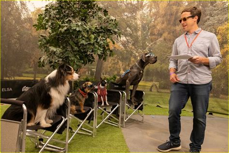 Will Ferrell & Jamie Foxx Play Foul-Mouthed Dogs in R-Rated Comedy 'Strays' - Watch the Trailer ...