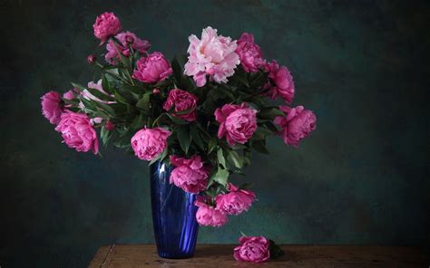 🔥 [40+] Pink Peonies Wallpapers | WallpaperSafari