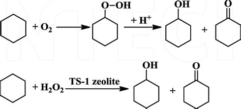 Scheme 6. Comparison of cyclohexane oxidation reaction network between ...