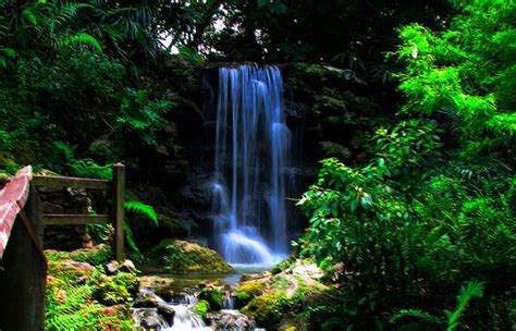 7 Hiking Trails With Waterfalls In Florida