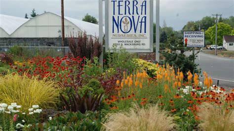 Terra Nova Nurseries Marks 25th Anniversary - Greenhouse Product News