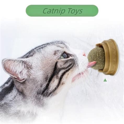 Catnip-Toys.png