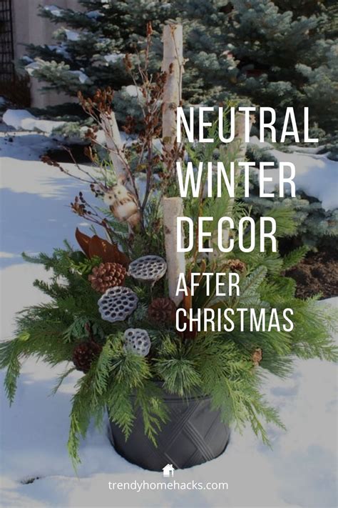 Elevate Your Winter Decor with Nature-Inspired Elements