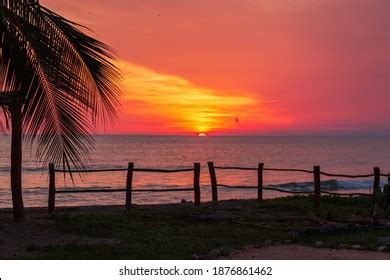 Seaside sunset : 355 335 images, photos et images vectorielles de stock | Shutterstock