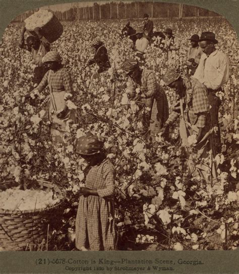 Slavery and King Cotton – US History I: Precolonial to Gilded Age