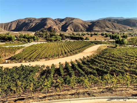 The Best Wine Tour of California’s Temecula Valley