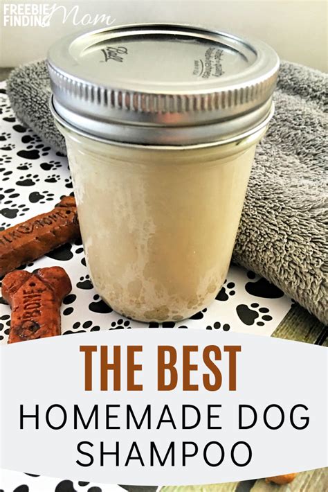 Best Homemade Dog Shampoo: All Natural Oatmeal Dog Shampoo | Dog shampoo recipe, Oatmeal dog ...