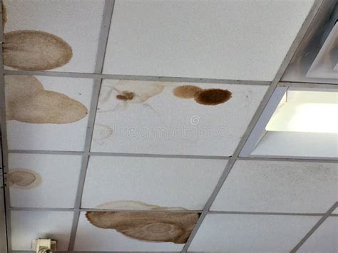 Water stains on ceiling stock photo. Image of aged, fungus - 180919136