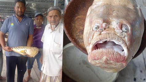 A fish with a strange human-like face was caught in Thailand, causing fishermen to scream: ‘It’s ...