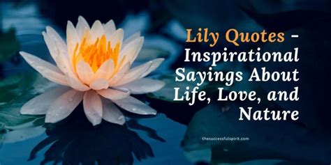 Lily Quotes - Inspirational Sayings About Life, Love, and Nature ...