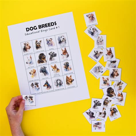 Printable Dog Bingo Game | Adventure in a Box