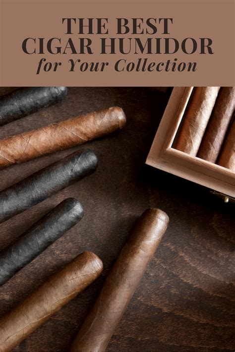 The Best Cigar Humidor for Your Collection | Discover.Luxury