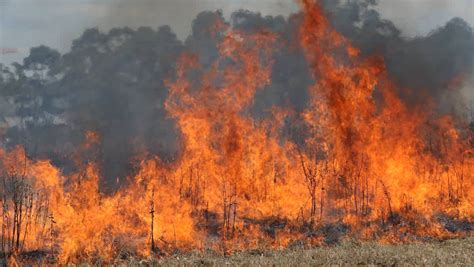 Preventing Grass Fires | The Yass Phoenix – Yass News and Current Affairs