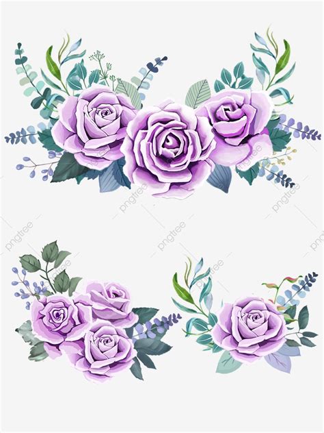 Rose Free PNG Picture, Chinese Rose Flower Purple Beautiful Free Element, Roses Clipart ...