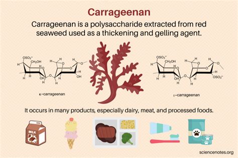 What Is Carrageenan? Is It Bad for You?