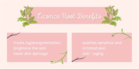 Revealing the 5 Benefits of Licorice Root for Skin - Glam Skin Review