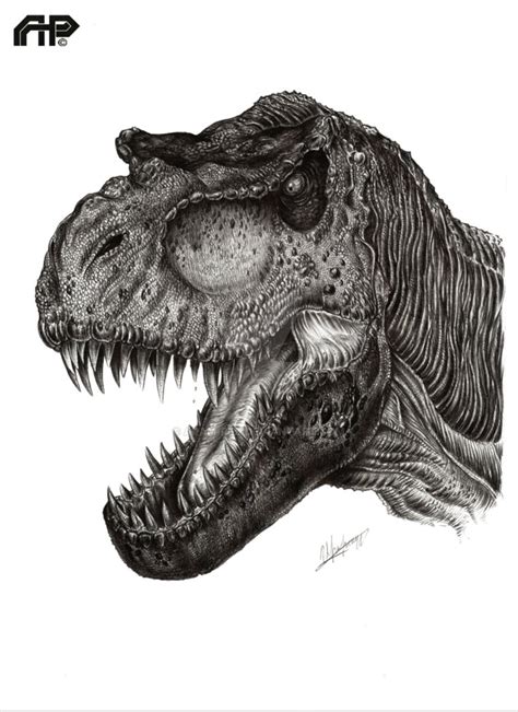 Tyrannosaurus Rex Head Drawing