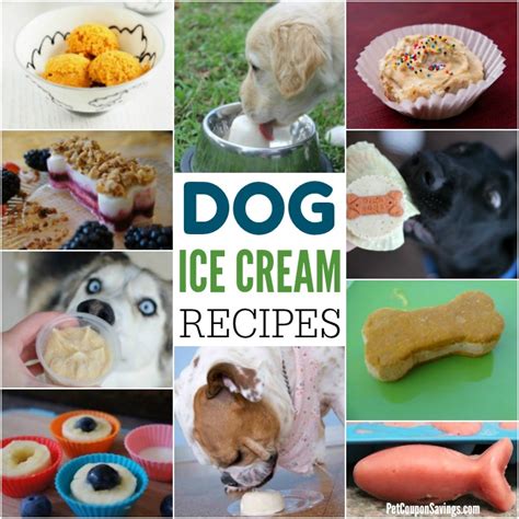 10 Dog Ice Cream Recipes to Keep Your Dog Cool - Pet Coupon Savings