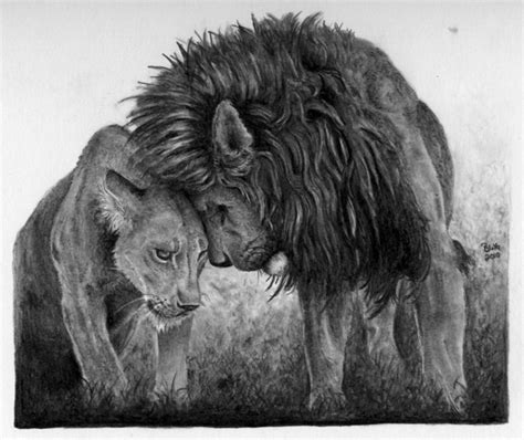 10+ Cool Lion Drawings for Inspiration - Hative