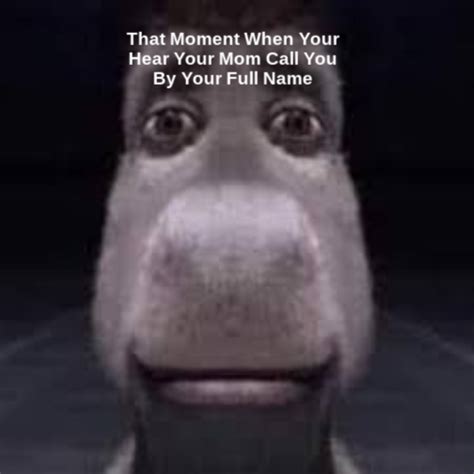 Donkey Staring Straight Ahead Meme Generator - Piñata Farms - The best meme generator and meme ...