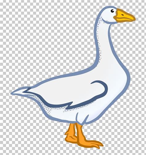 Goose Duck PNG, Clipart, Animal Figure, Animals, Beak, Bird, Canada Goose Free PNG Download