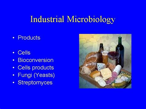 Industrial Microbiology Products Cells Bioconversion Cells products Fungi