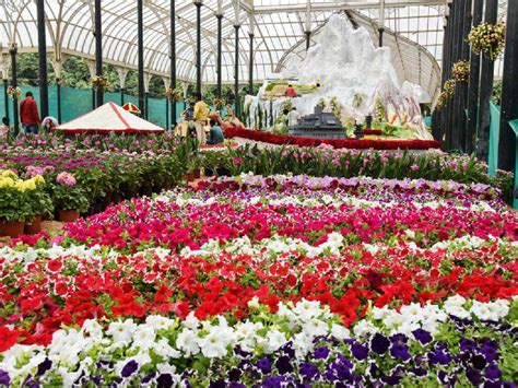 Bengaluru: Lal Bagh flower show from August 4 to 15; check theme ...