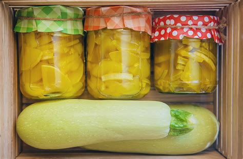 How to Preserve Zucchini and Summer Squash 5 Ways - Food Gardening Network