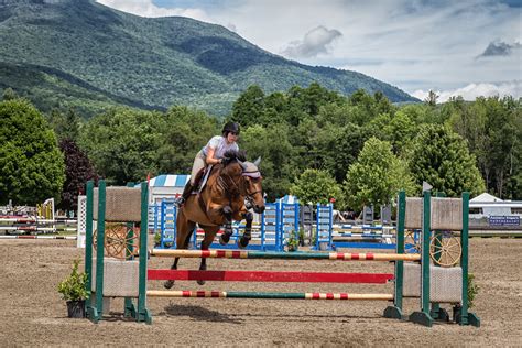 Vermont Summer Festival Horses | Mobilus In Mobili | Flickr