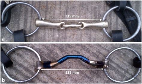 Snaffle-bit types used for cross-sectional investigations of ...