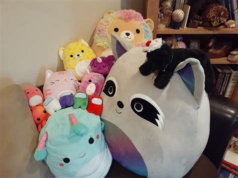 This is my collection, I'm aware not all of them are squishmallow brand ...