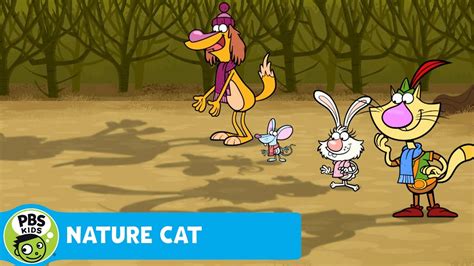 NATURE CAT | The Winter Solstice! | PBS KIDS - YouTube