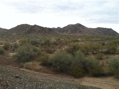 Hiking North Mountain in Phoenix, AZ. The desert has its own unique ...