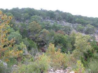 Lost Maples State Natural Area 2009 Lost Maples State Natural Area ...