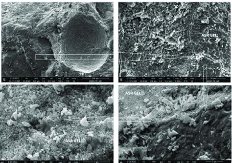 Microstructure of the cementitious composite control specimens retained... | Download Scientific ...