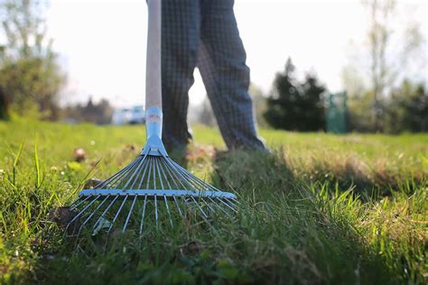 Spring Lawn Care Tips to Bring Your Lawn Back to Life | Best Pick Reports