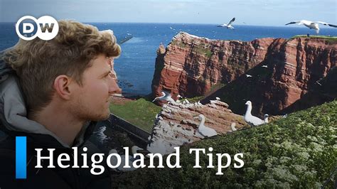 Heligoland Travel Tips | Heligoland: History, Shanties, Nature | Visit the North Sea Island ...